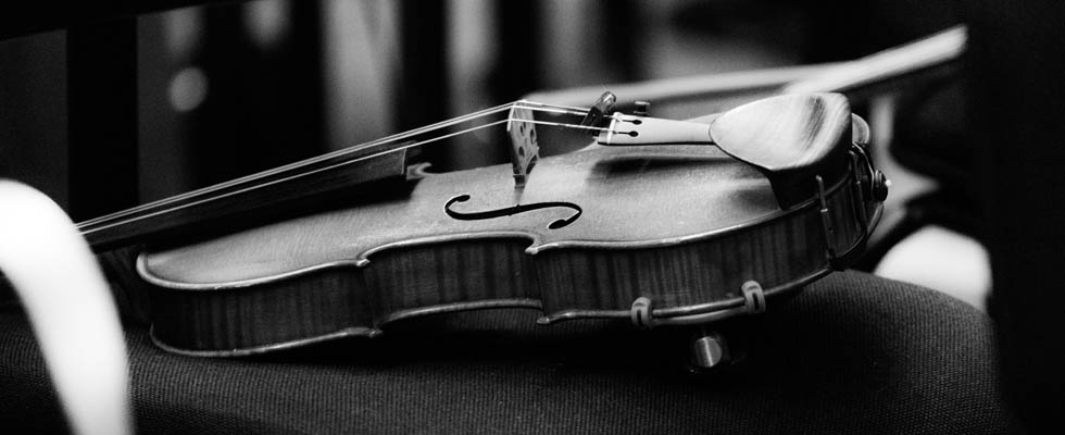 Violin