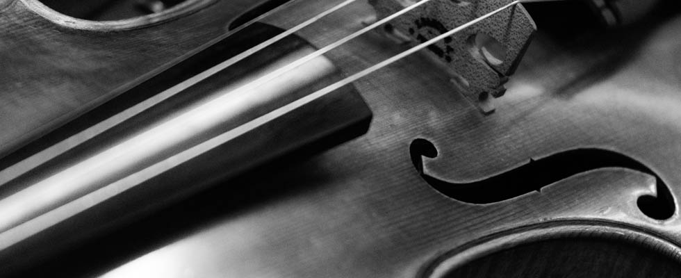 Violin